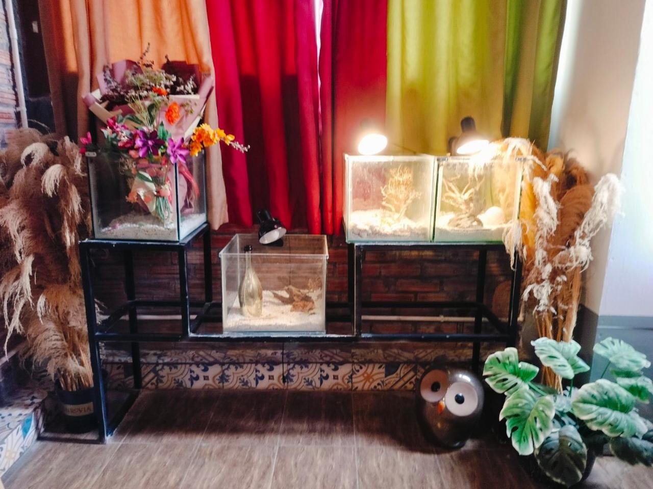 Cozy Fun Homestay 16 Hanoi Exterior photo